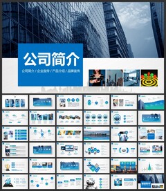 精美公司简介企业宣传PPT