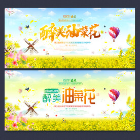 油菜花
