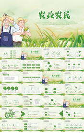 农业农民种植业工作总结PPT