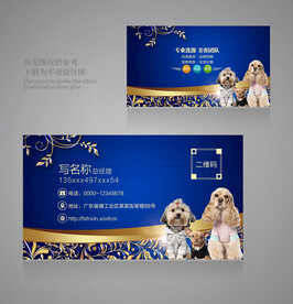 宠物店名片