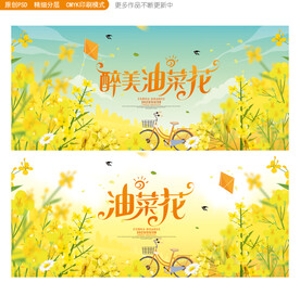 油菜花