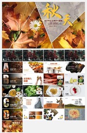 秋天秋分主题PPT模板