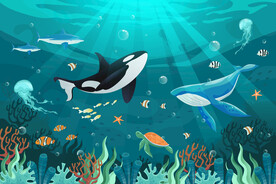 梦幻海底卡通鲸鱼热带鱼珊瑚背景