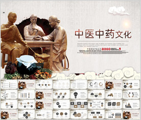 中医学中医药中草药中医院PPT