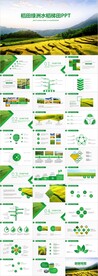 水稻农田绿洲大米PPT模板农业