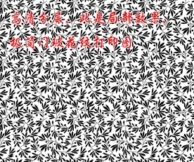 高清分层透明底平开门打印图