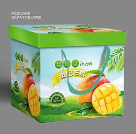 芒果包装 