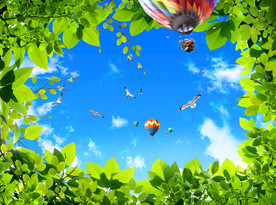 蓝天白云绿叶吊顶