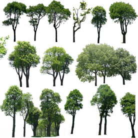 效果图植物素材