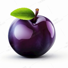 漂亮的手绘李子