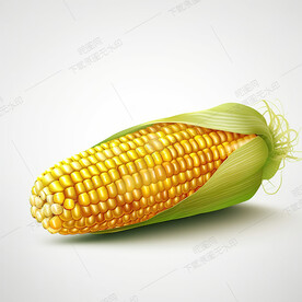嫩玉米
