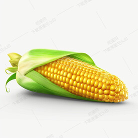 卡通玉米