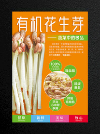 有机花生芽海报