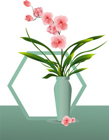 唯美蝴蝶兰素材