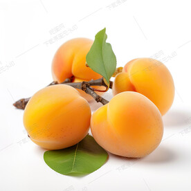 熟透了的杏