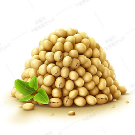 高清黄豆