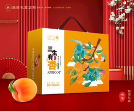 杏礼盒 黄杏包装