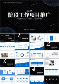 商务项目报告项目总结ppt