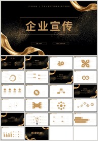 黑金风企业宣传公司简介PPT