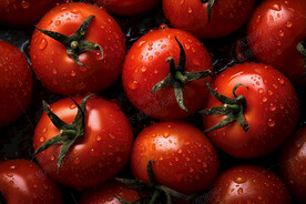 沾满水滴的圣女果