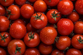 沾满水滴的圣女果