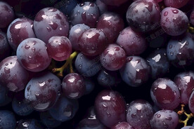紫葡萄