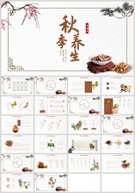 中养生文化中医养生健康PPT