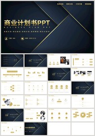 黑金风通用商业计划书PPT