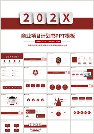 红色通用商业项目计划书PPT