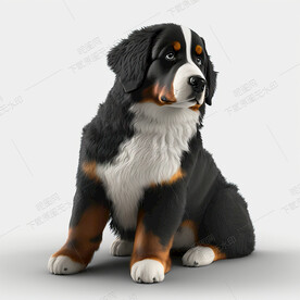 可爱的伯恩山犬