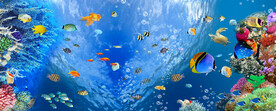 海底世界