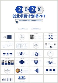 蓝色创业项目计划书PPT