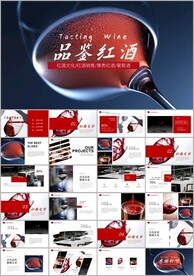红酒葡萄酒产品介绍宣传ppt