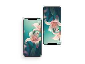 手机壁纸  插画   花