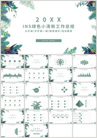 绿色INS清新教育总结PPT
