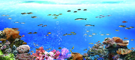 海鲜