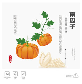 南瓜子 插画