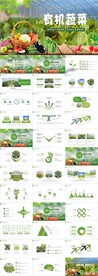 绿色农业种植大棚技术PPT模板