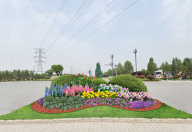 城市节点五一花镜