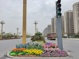 城市节点五一花镜