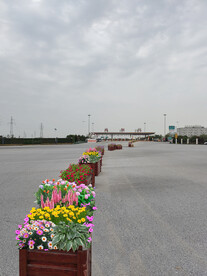 城市花箱五一花镜