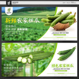 丝瓜