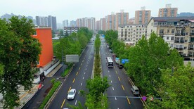 城市春天道路绿化航拍视频