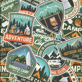 大牌矢量熊 野外