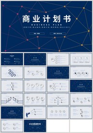 蓝色商务融资商业计划书PPT