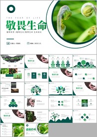 植物发芽植物生长敬畏生命ppt