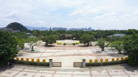 江门新会区小鸟天堂景点旅游风光