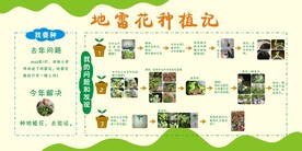 幼儿园种植记展板