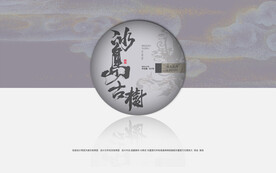 普洱茶包装