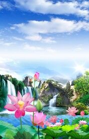 荷花风景